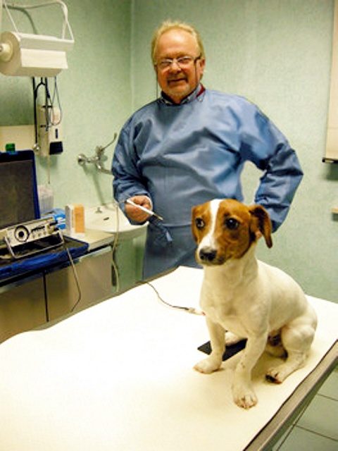 Il dott. Daniele Carlini in sala visita con un cane