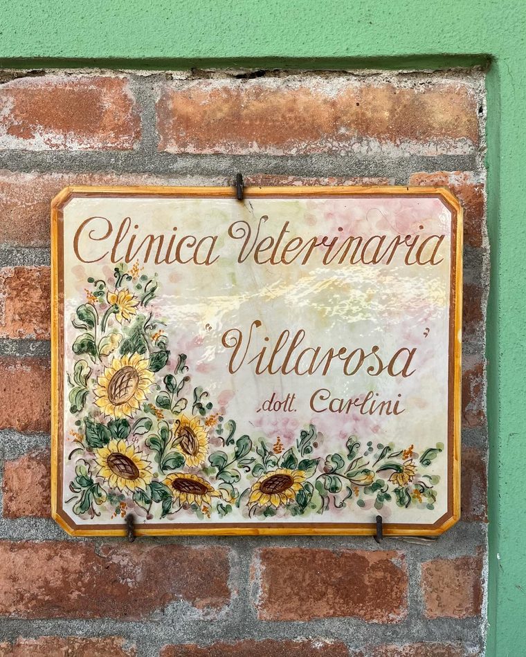 La targa in ceramica della Clinica Veterinaria Villarosa