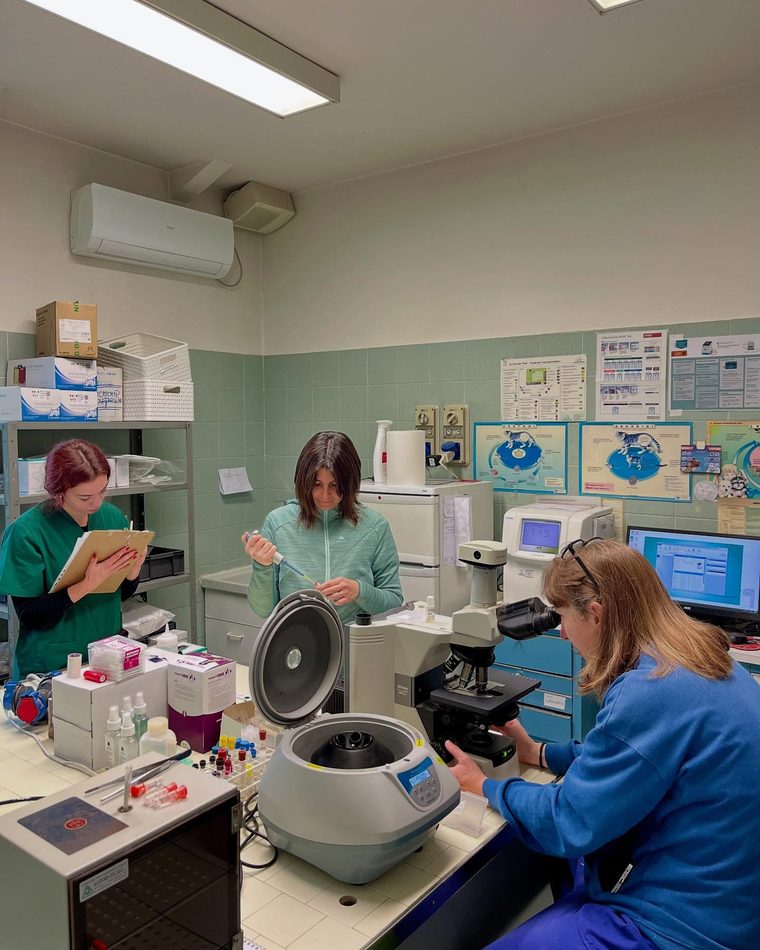 Il laboratorio di analisi della clinica