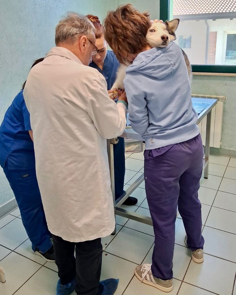 Lo staff al lavoro in ambulatorio