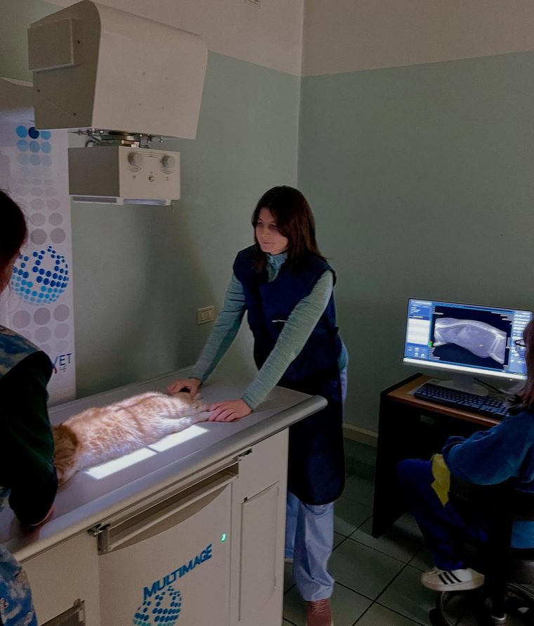 Uno studio radiografico