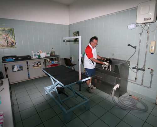 La sala di toelettatura